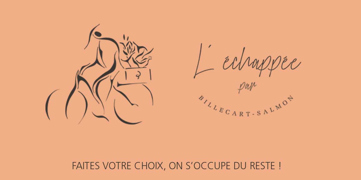 Echappee parisienne