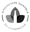 2017